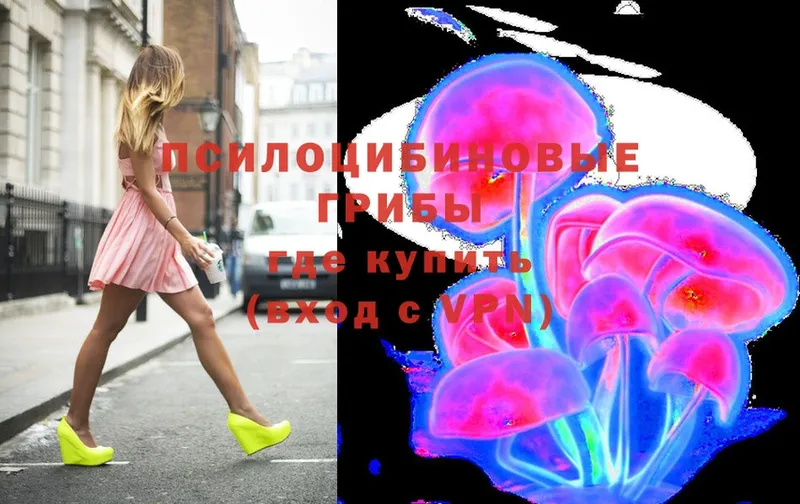 Псилоцибиновые грибы Psilocybe  Белинский 